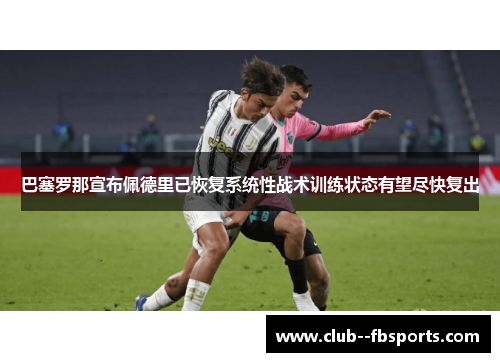 巴塞罗那宣布佩德里已恢复系统性战术训练状态有望尽快复出 巴塞罗那宣布佩德里已恢复系统性战术训练状态有望尽快复出